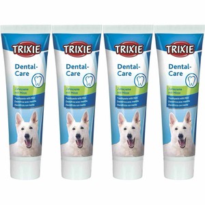 mint dog toothpaste