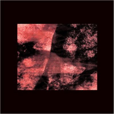 Loren Connors Angels That Fall (Vinyl) 12'' Album (US IMPORT)