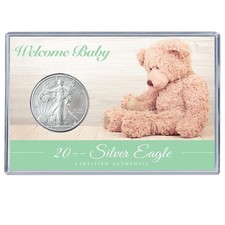 Personalized New Baby Gift Display w Silver Eagle - Welcome