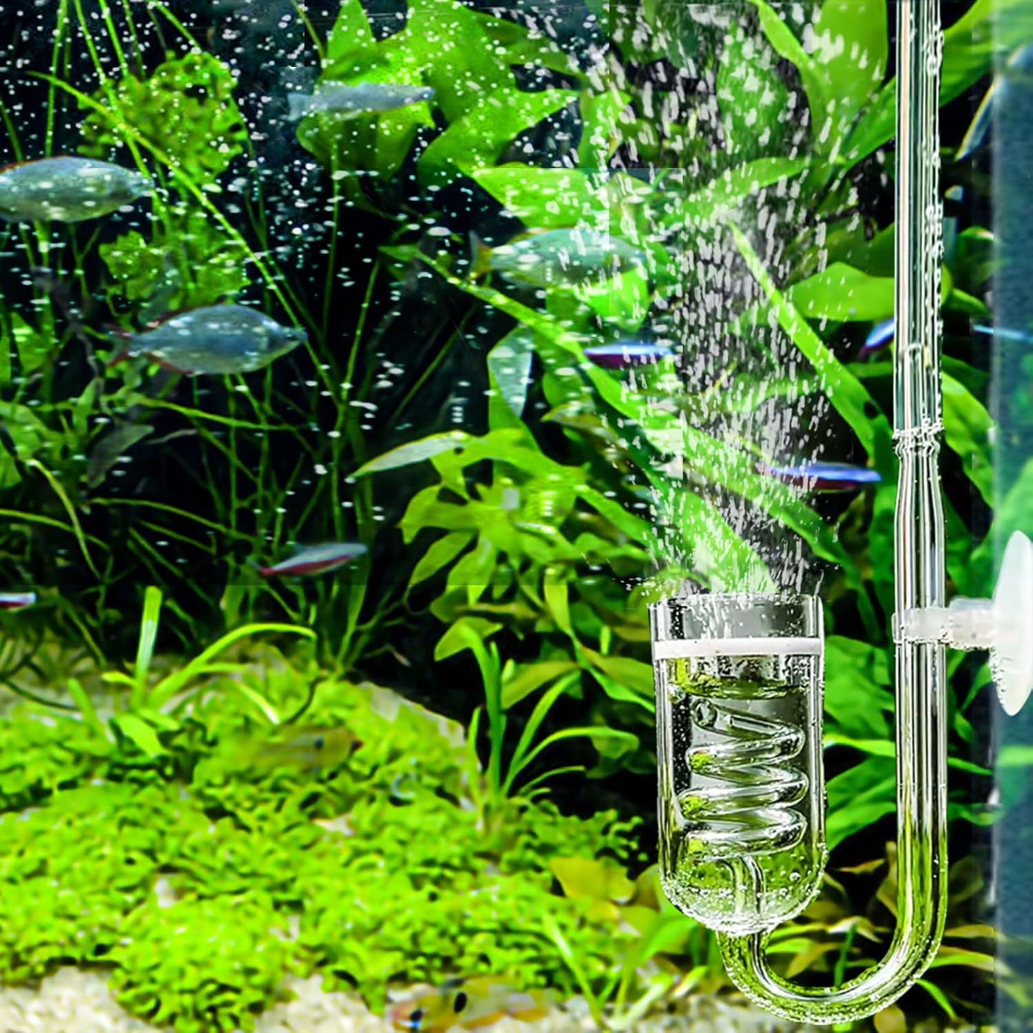 Aquarium CO2 Glass Spiral Diffuser with Bubble Counter Check Valve Suction Cup