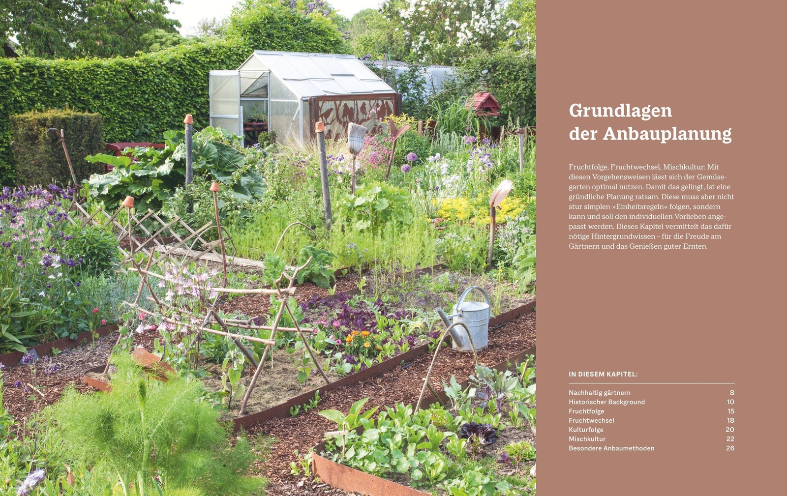 Thumbnail - Das Große Blv Handbuch Gemüse-anbauplanung | Joachim Mayer | Buch |