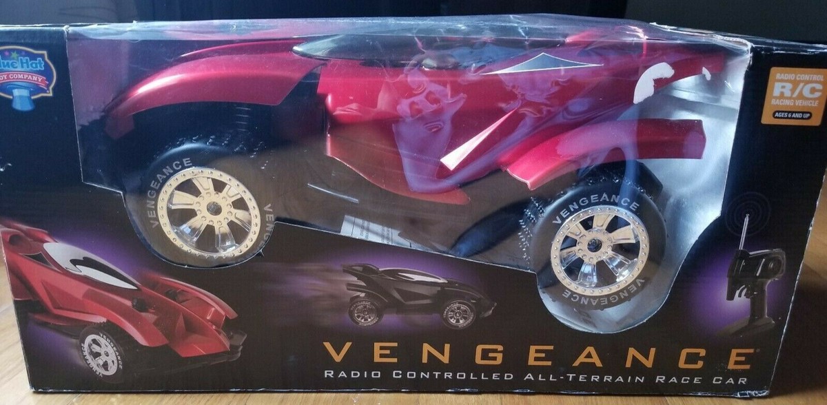 Vengeance Radio Controlled All-Terrain Race Car, Color