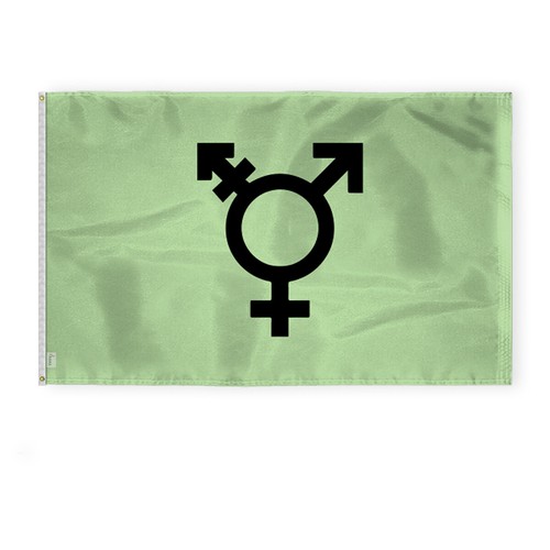 Israel Trans Flag-Single Sided Printed-Brass Grommets- Fade Proof Colors - Picture 8 of 15
