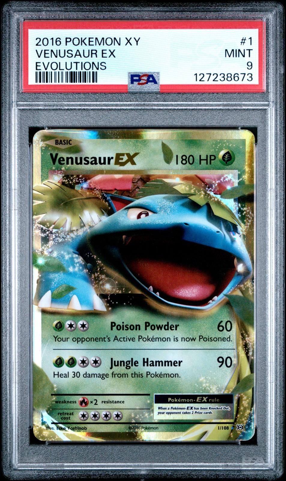 Venusaur EX #1