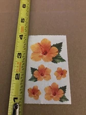 Mrs Grossman 5 Pc Hibicus Stickers