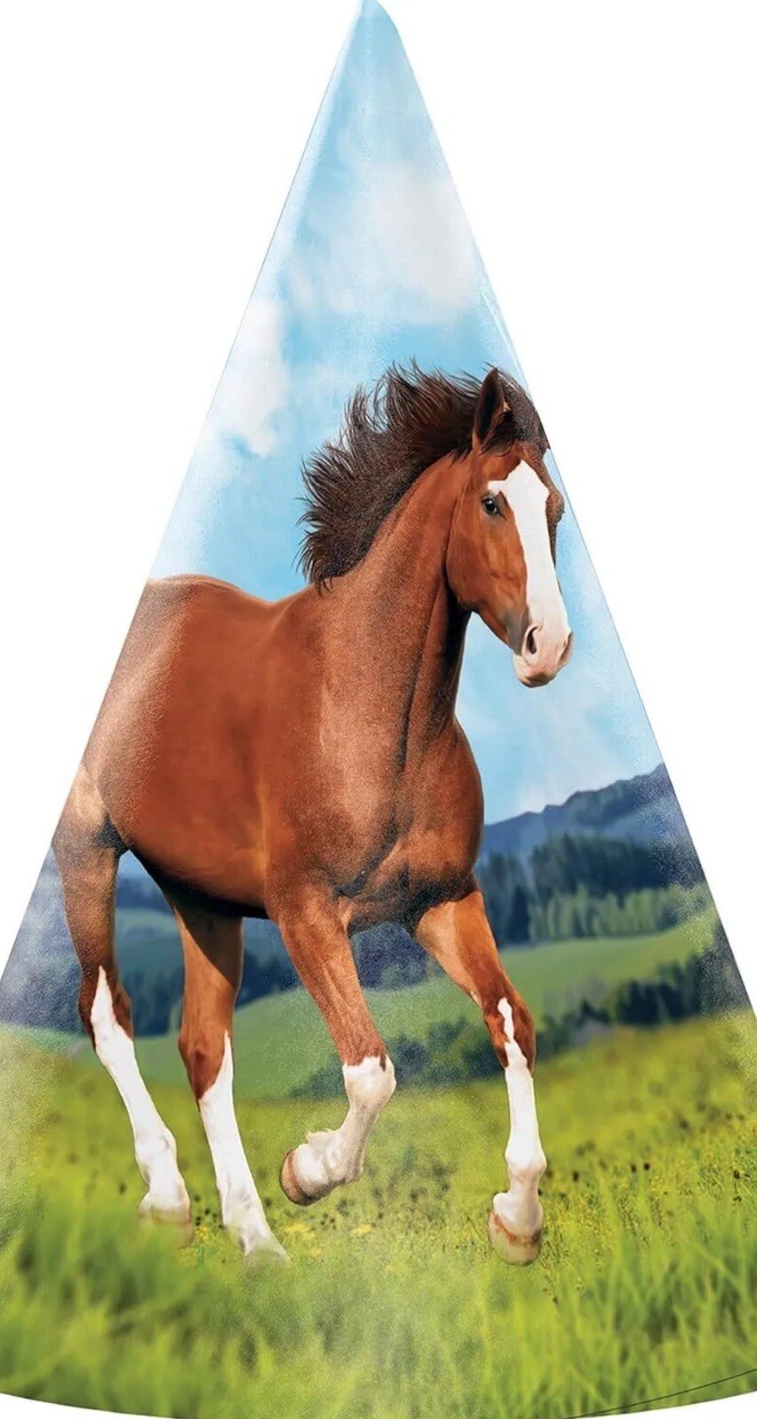 Cappelli cono di carta cono di carta animali cavallo e pony tema western bambini festa di compleanno