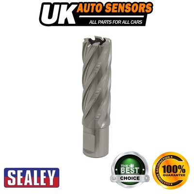 Sealey Worksafe �� 22 mm HSS Mag Bohrer Schnitttiefe 50 mm RBHSS22L