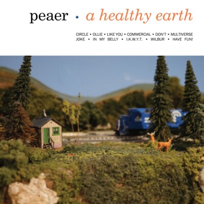 Peaer - A Healthy Earth - Vinyl LP - Clear w/ Black & White Smoke 