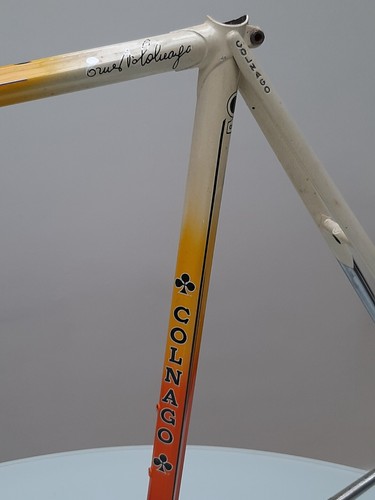 colnago master team Malvor-Colnago - Bild 12 von 24