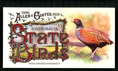 2025 Topps Allen & Ginter State Birds Ring-Necked Pheasant #SB-41