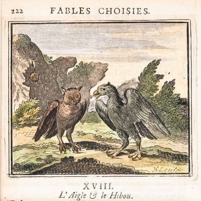 Fabeln de la Fontaine Eule Kupferstich koloriert H. Cause Passepartout 1728