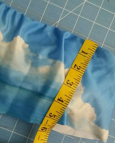 Wildfox Swim SKY Cloud Trägerlos Rüschen Flatter Bikini Bandeau Top XS Blau Weiß - Bild 7 von 8