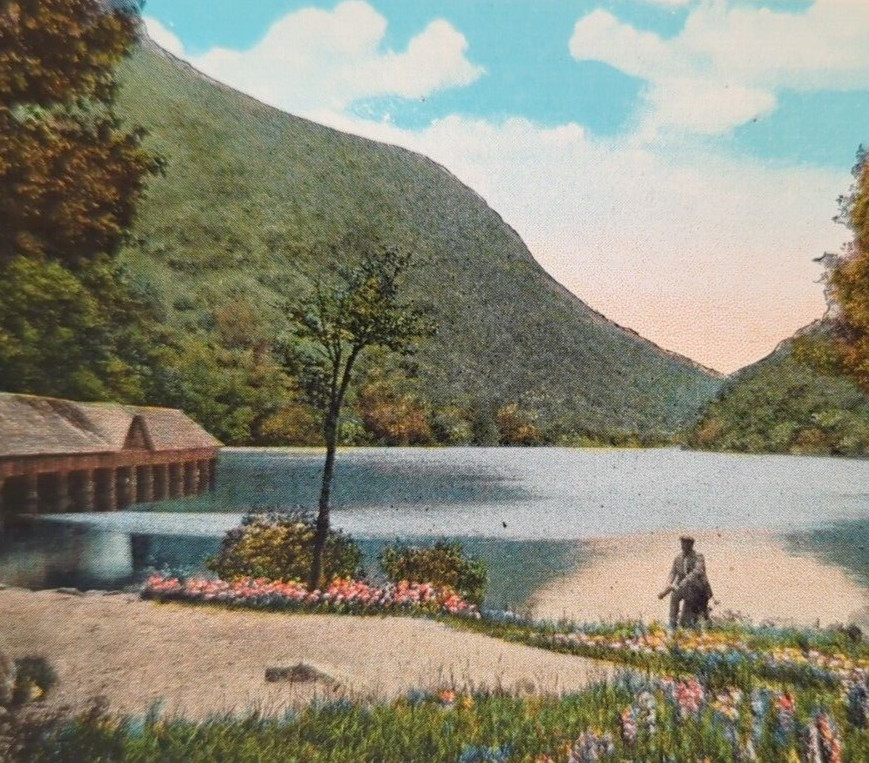 Profile Lake Franconia Notch White Mountains NH New Hampshire Vintage Postcard