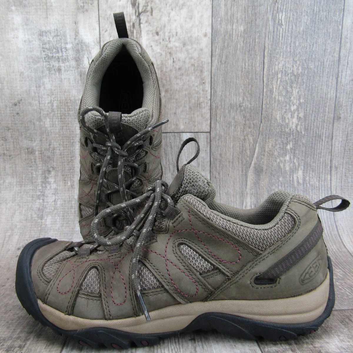 Born shasta deals wedge