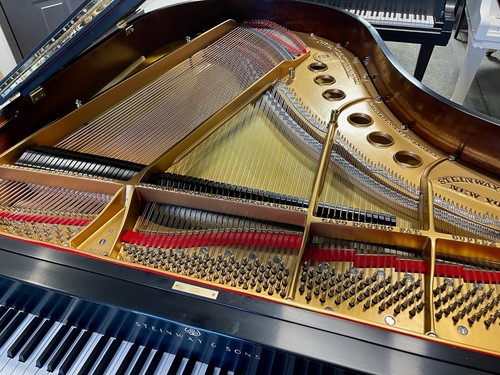 STEINWAY M GRAND PIANO -Meticulous - Picture 8 of 11