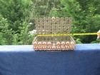Bild 8 von 8