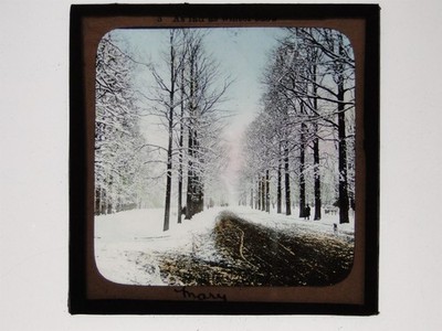Winter Schnee Szene Baum gesäumt Avenue Straße magische Laternenrutsche um 1900