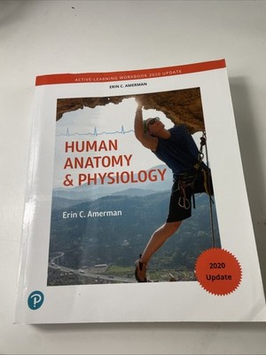 Active-Learning Workbook for Human Anatomy & Physiology, Updated Edition, USED