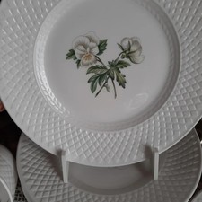 VINTAGE SPODE VIRGINIA  SET  DI  8 PIATTI CM 20 BONE CHINA