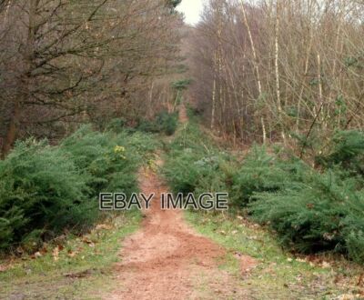 FOTO STRAWBERRY HILL UMGEBUNG RAINWORTH NOTTS. EIN AUFSTEIGENDER WEG IN RICHTUNG STROH
