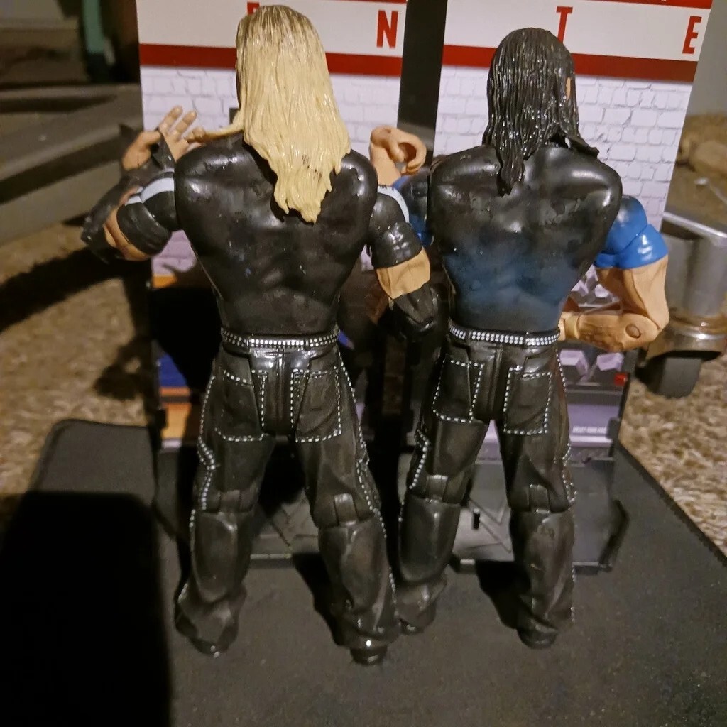 WWE WWF時代のハーディーボーイズ2体セット Brood Hardy Boyz