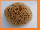 Natural sponge 16cm. kalymnos GREECE NEW Sponge Sea Luxurious GREAT
