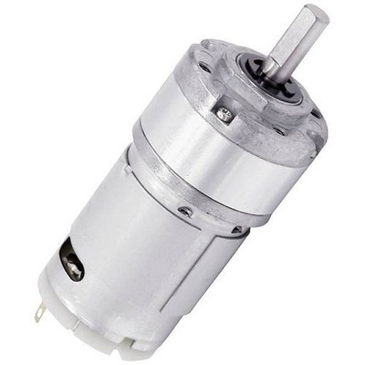 Drive System Europe by MSW 24202 DC DSMP320-12-0019-BF 12V/DC 0 Gear Motor