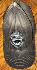 Yellowstone National Park Ball Cap Brown