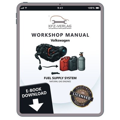 VW Passat 7 3C 10-14 fuel supply system natural gas engine manual guide eBook