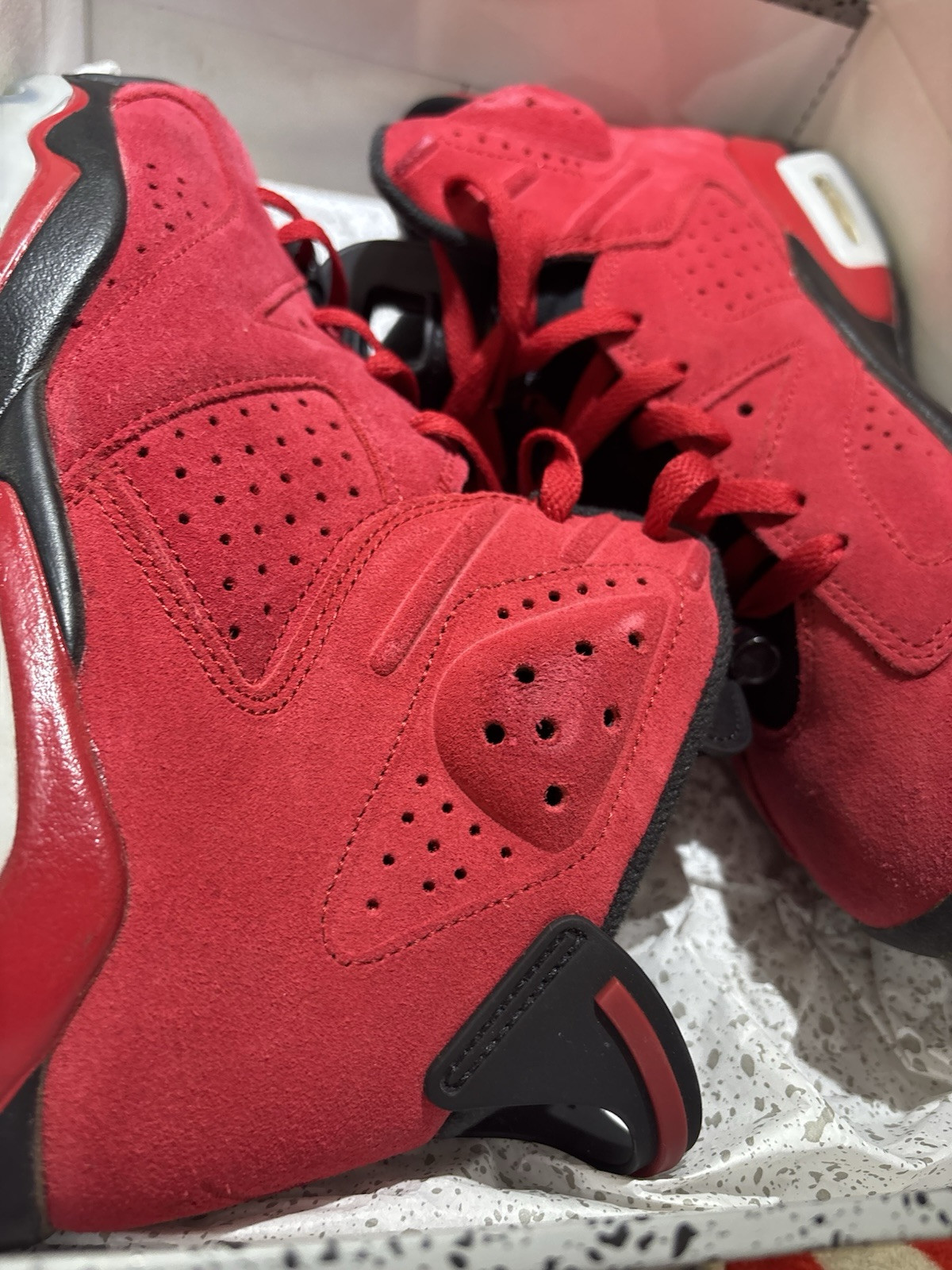 toro bravo jordan 6s