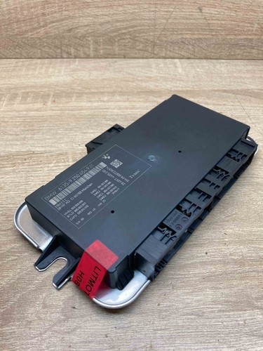 9250454 Temic BMW F10 F11er Lichtmodul Einheit Steuergerät Hauptleuchten