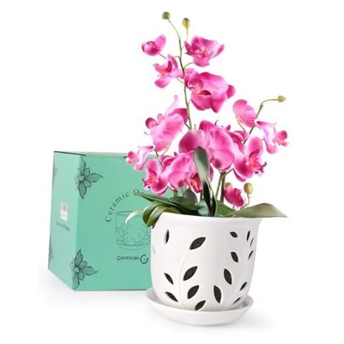 Orchid Pot with Holes & Saucers, 6.1 inch Ceramic Large Orchid Planter White