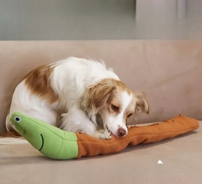Adorable Lovely Soft Safe Non-Toxic Durable Bite-Proof Interactive Snail Dog Toy