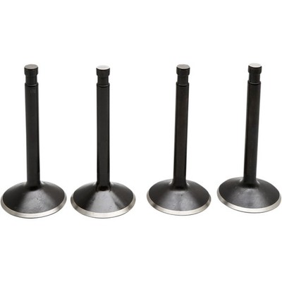 Kibblewhite Precision 20-22100 Black Diamond Valve Kit