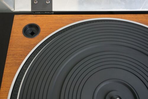 Micro Seiki DD-7 / DD-40 Direct-Drive Audiophile Turntable MA-505 Tonearm - 100V - Picture 5 of 24