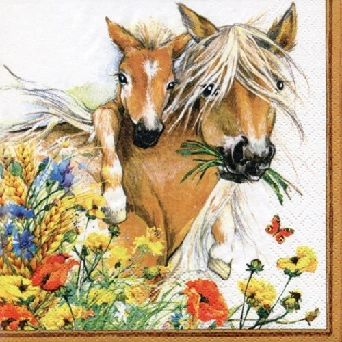 4 x Single Napkin/3-Ply/33cm/Decoupage/Animals/Foals/Ponies with Summer Flowers