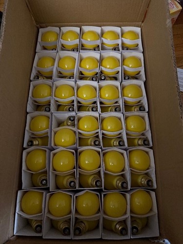 25A19/CL 130V, 25 Watt, A19, Medium Screw (E26) Base Light Bulb (120 Bulb)