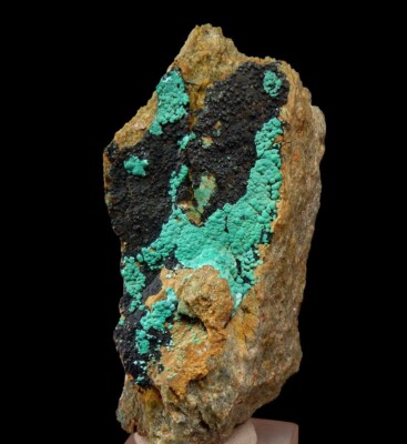 MALACHITE & TENORITE ++++++ Slovakia - Spania Dolina - Piesky /pj674