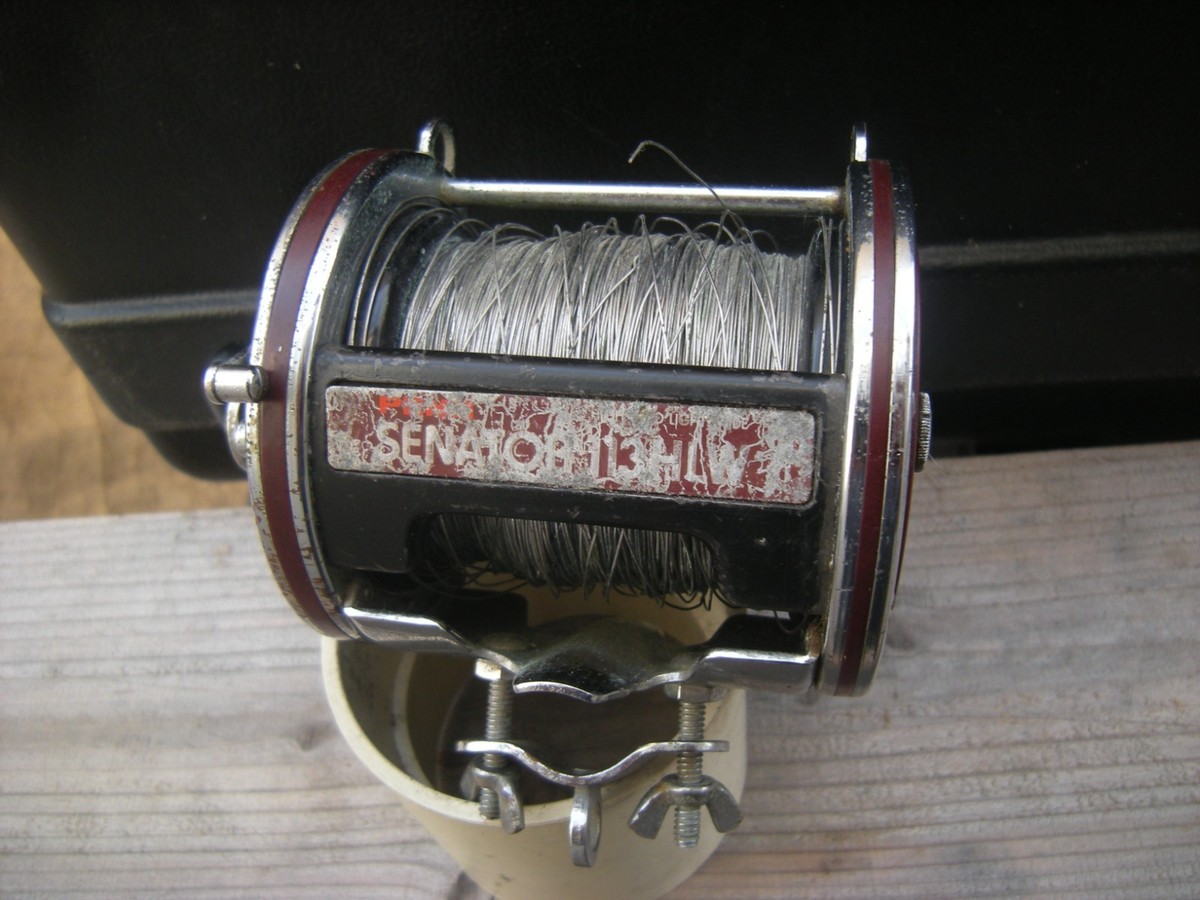 Penn 113HLW Senator 4/0 Wide High Line Capacity Saltwater Fishing