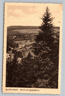 Vtg Photo Postcard Harz Mountains Grössesohl Valley Germany Landscape c1910s
