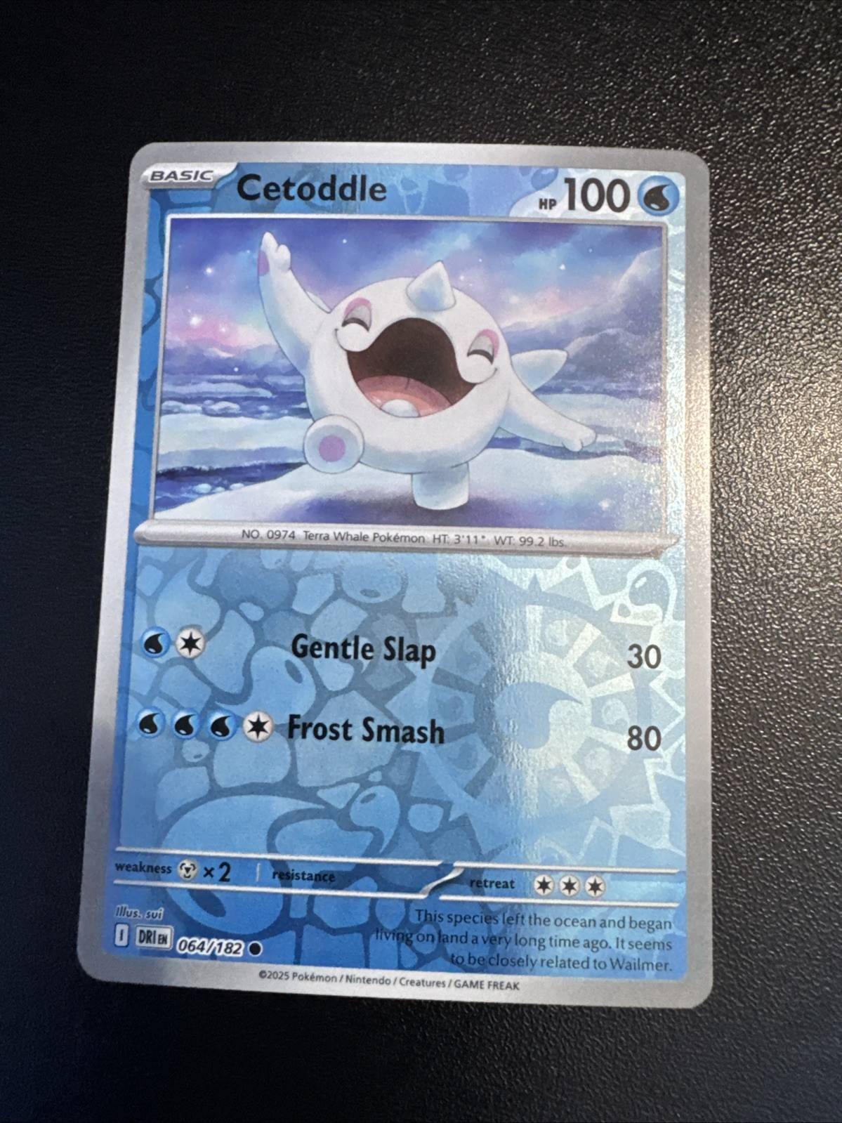 Pokemon Cetoddle Destined Rivals 64/182 Reverse Holo Near Mint English