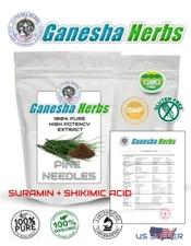 ORGANIC PINE NEEDLE 10:1 EXTRACT POWDER (SURAMIN SHIKIMIC ACID) 100 GRAMS!