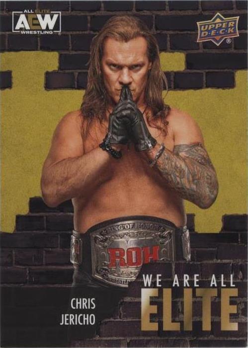 2023 Upper Deck AEW All Elite Wrestling - Chris Jericho #AE-3 - 1 of 1