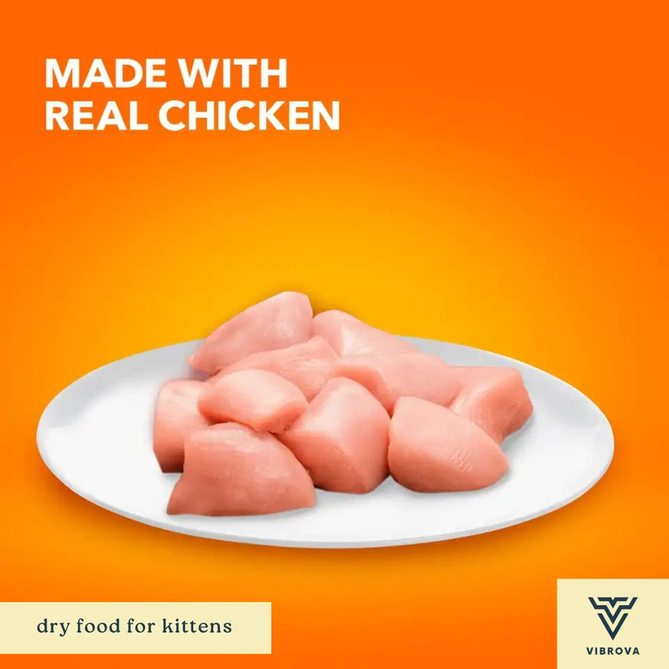 Trockenfutter für Kätzchen | IAMS Proactive Health Huhn Formel