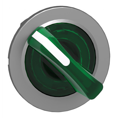Schneider Electric ZB4FK1233 BT Kopf Lum Flush 2P Fix Grün
