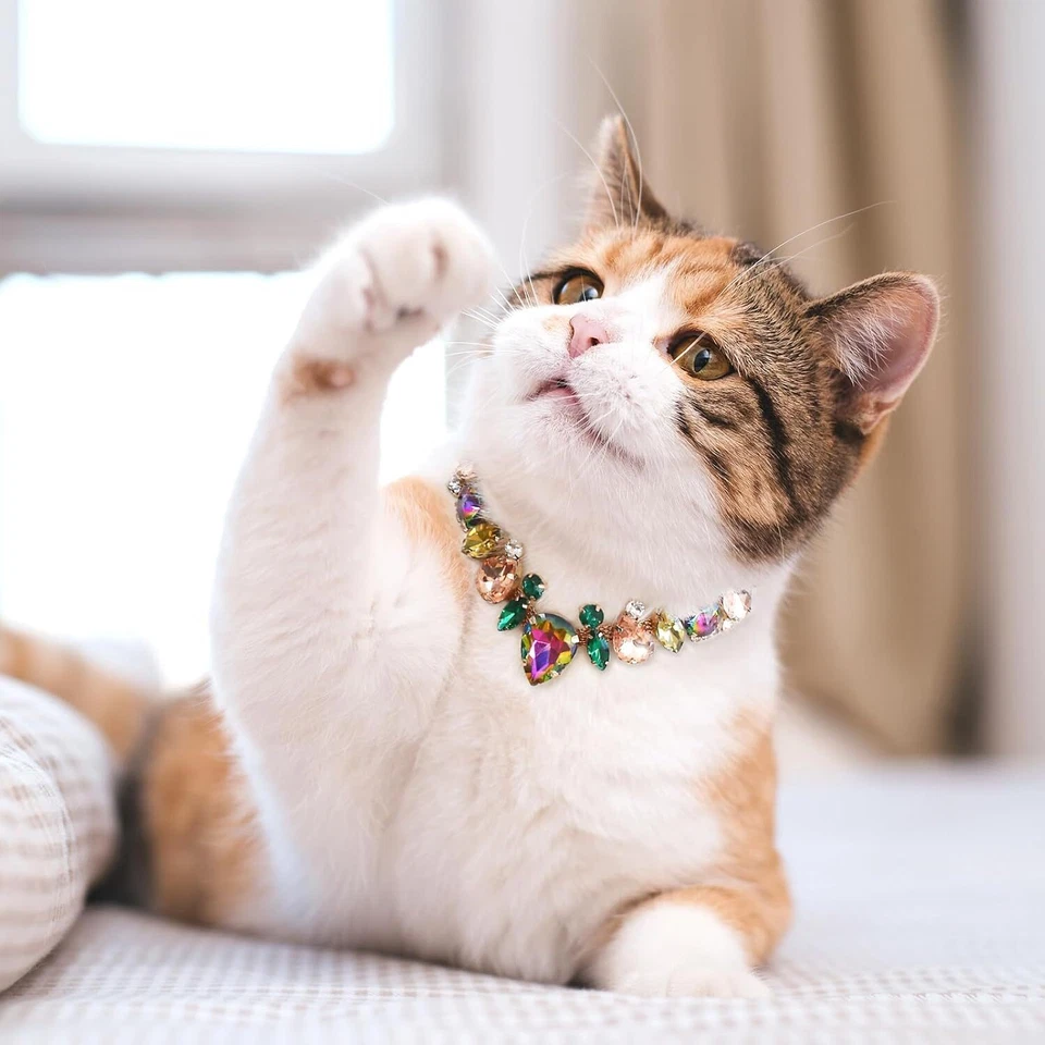 Perro Gato Diamante Estrás Collar Collar Cachorro Cristal Bling Mascota Accesorio Foto 2 de 4