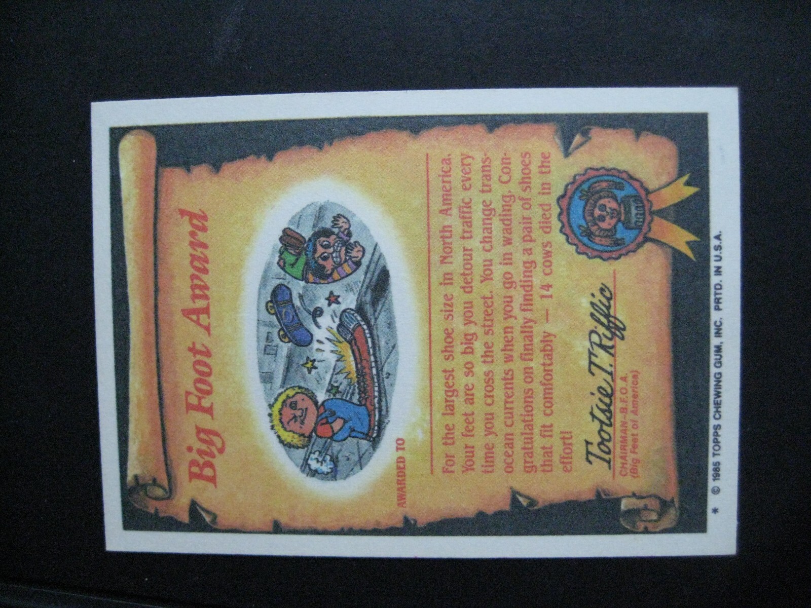 Picture 31 of 125