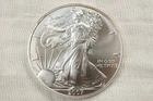 NobleSpirit (LG) Superb Gem BU 2007 American Silver 1oz Eagle