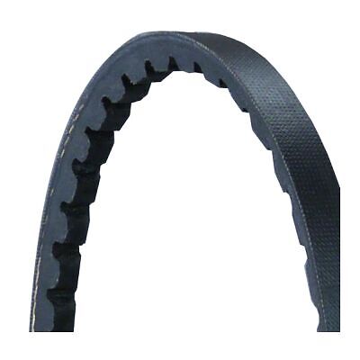 Courroie trapézoïdale Contitech AVX10X1400 La | 123 Courroies