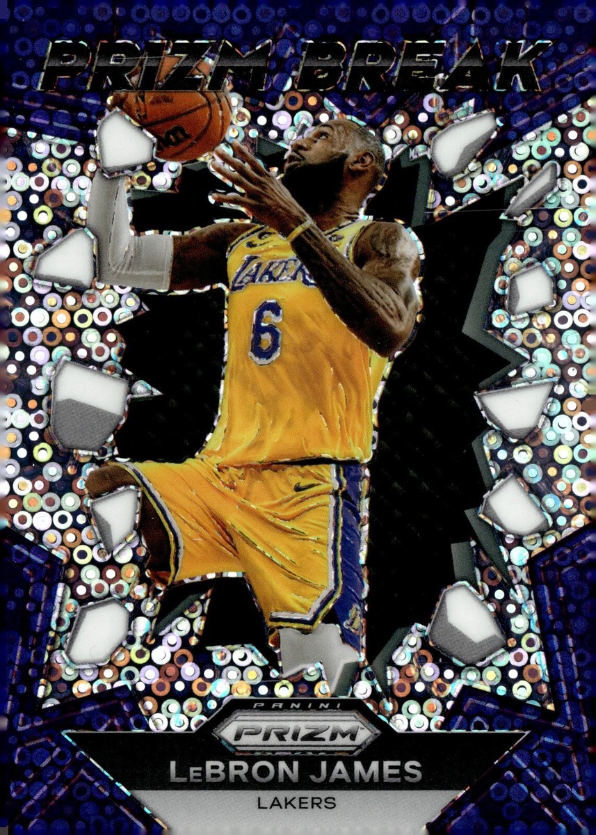 NBA カード　LeBRON JAMES  disco Prizm 2023-24 Panini Prizm Lebron James Silver Disco PRIZM BREAK